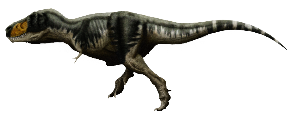 TyrannosaurusRexProfile8copy-1.png
