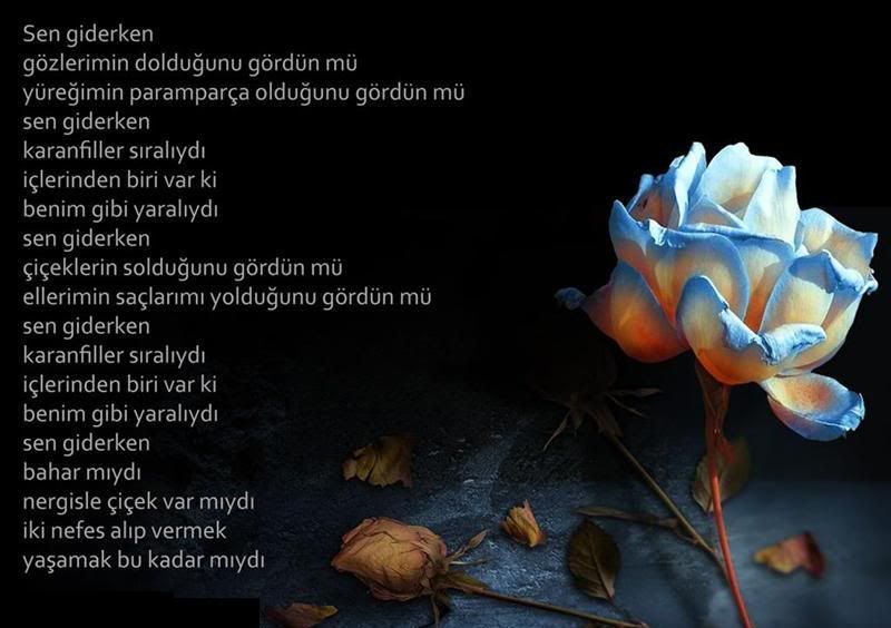 01-42.jpg