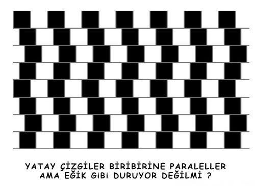01-70.jpg