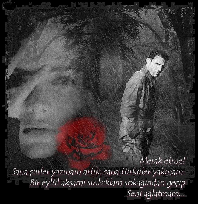 02-50.jpg