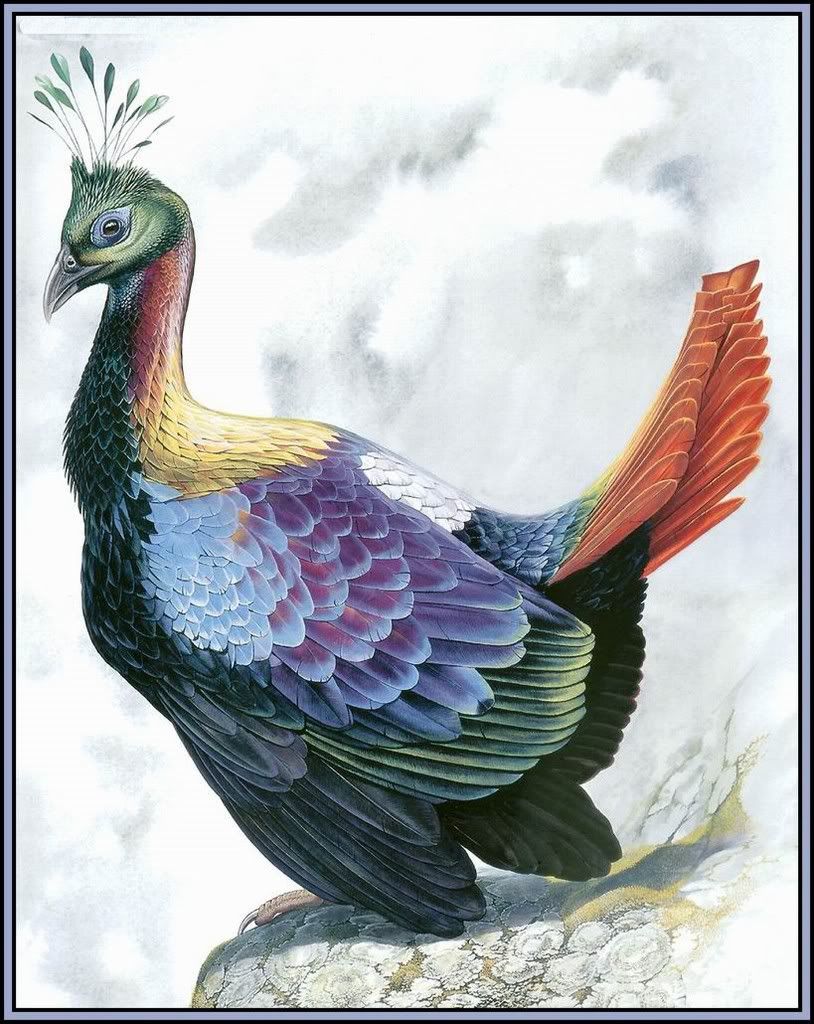 02-60.jpg