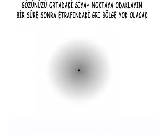 02-64.jpg