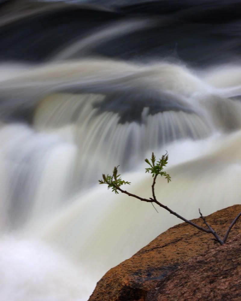 IMAGE: http://i171.photobucket.com/albums/u281/jpyat73/IMG_9028.jpg