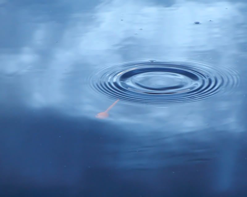 IMAGE: http://i171.photobucket.com/albums/u281/jpyat73/bobber1_filtered800.jpg