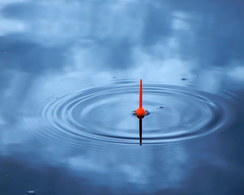 IMAGE: http://i171.photobucket.com/albums/u281/jpyat73/bobber_filtered-800.jpg