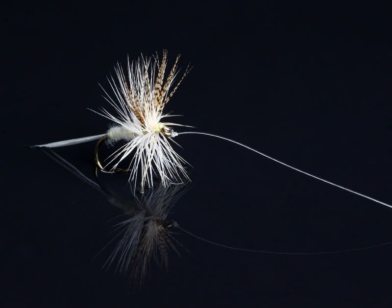 IMAGE: http://i171.photobucket.com/albums/u281/jpyat73/cahill800.jpg