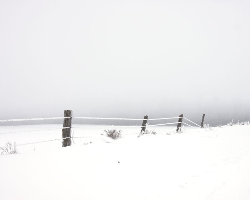 IMAGE: http://i171.photobucket.com/albums/u281/jpyat73/fence1_zps09841bc5.jpg