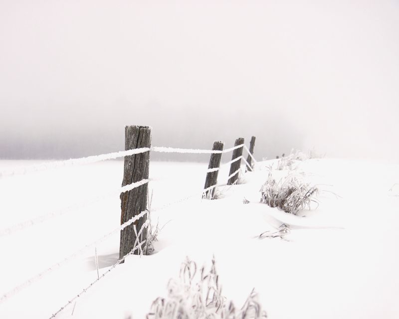 IMAGE: http://i171.photobucket.com/albums/u281/jpyat73/fence_zpsa1504a63.jpg