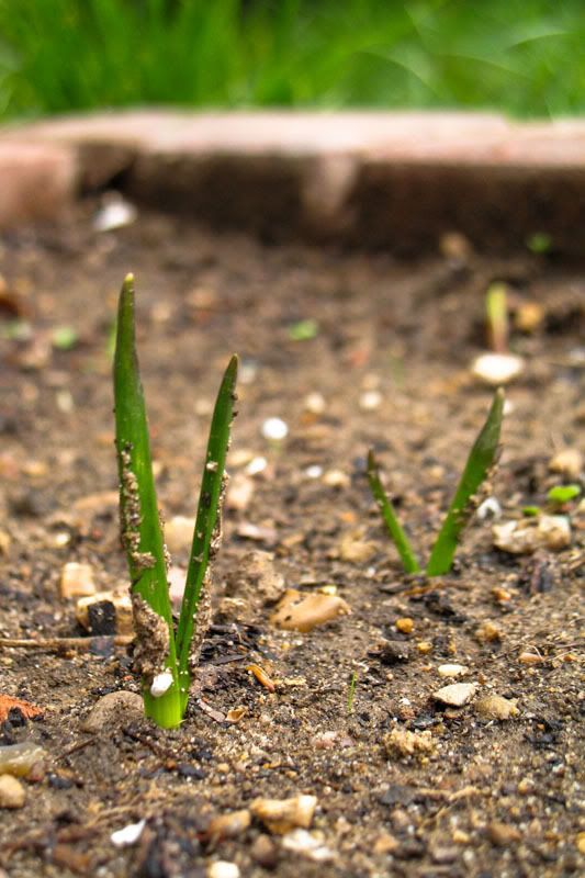 IMAGE: http://i171.photobucket.com/albums/u283/aikidoben/PushingUpcopy.jpg