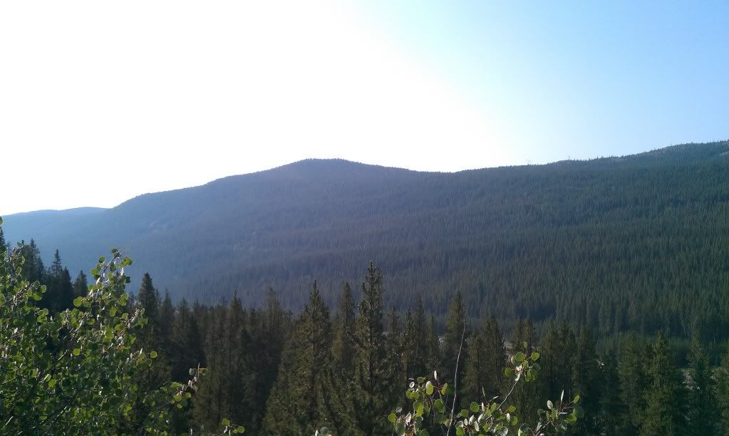 IMAG0569.jpg