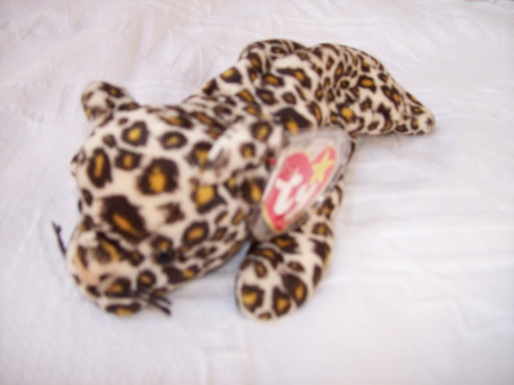 Jaguar Beanie Babies & stuffed animals Jaguar Forums Jaguar