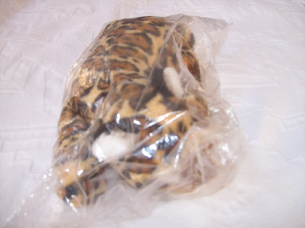 Jaguar Beanie Babies & stuffed animals Jaguar Forums Jaguar