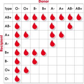 blood types