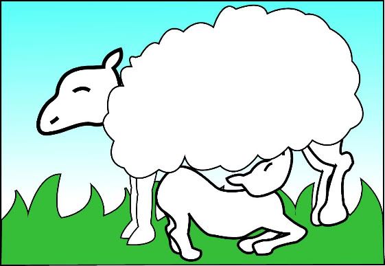 http://i171.photobucket.com/albums/u287/sad_jellyfish/comic/sheep0.jpg