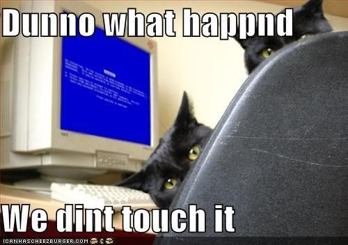 funny computer quotes. funny-pictures-cats-computer-