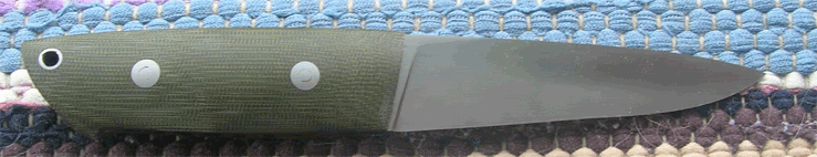 Bushking2gif.gif