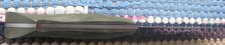 Bushking4gif.gif