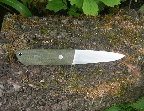 Bushking6gif.gif