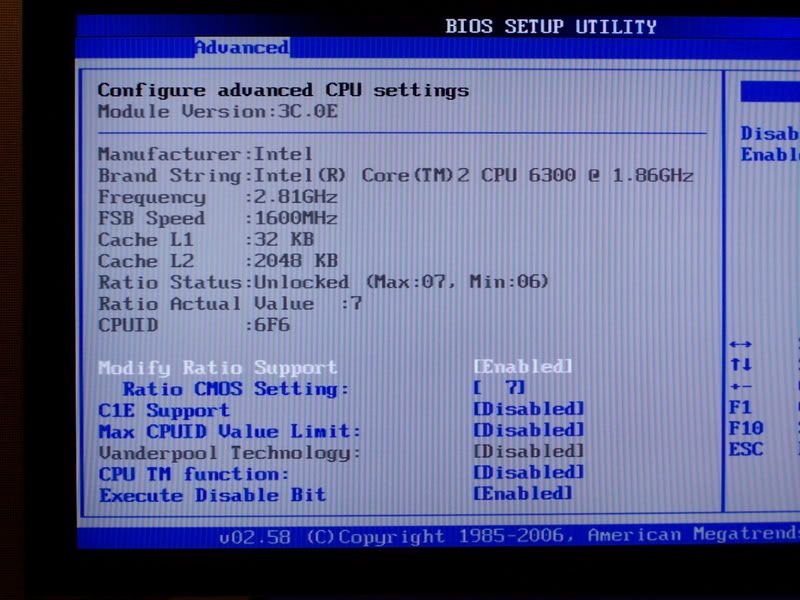 http://i171.photobucket.com/albums/u289/Berlinois02/BiosCPUsettings.jpg