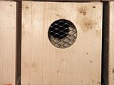 WeaselBoxes2.jpg image by braniecki