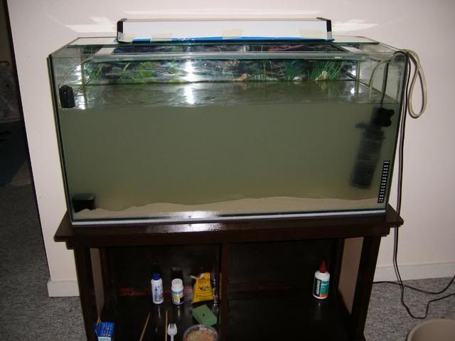 DSCF2683.jpg