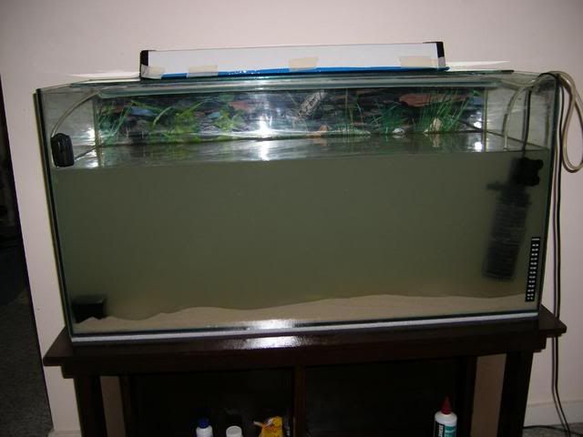 DSCF2684.jpg