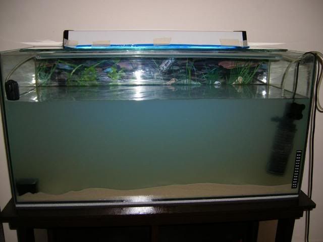 DSCF2685.jpg