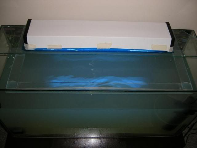 DSCF2687.jpg