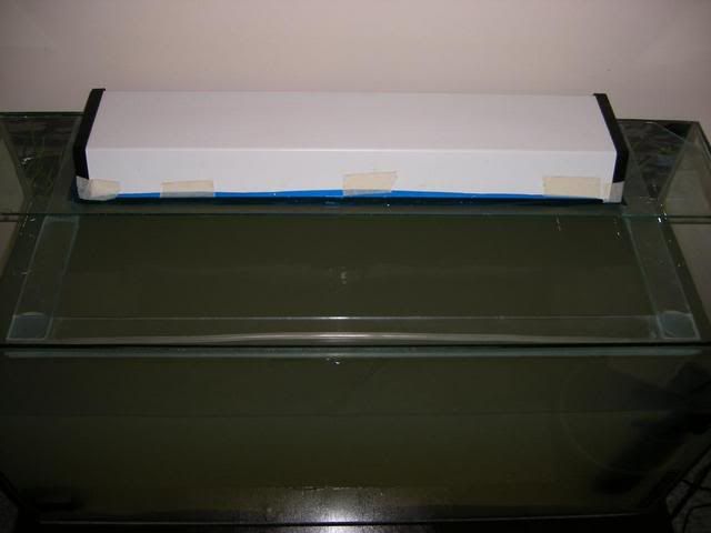 DSCF2689.jpg