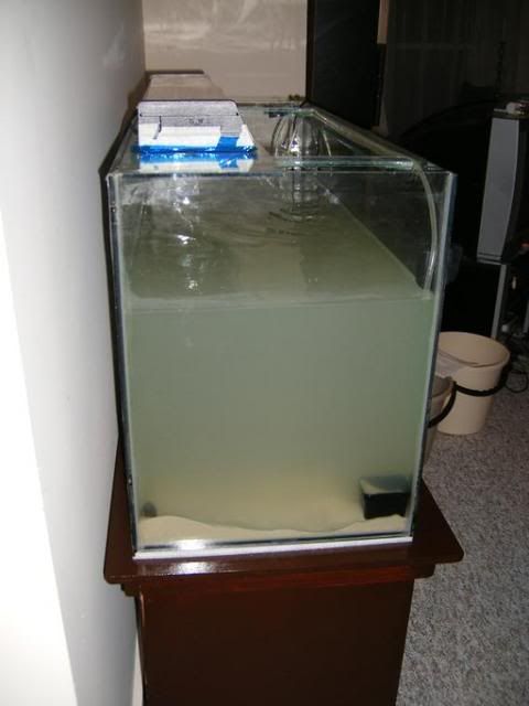 DSCF2690.jpg
