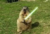 lightsaber_zps8bebe943.jpg