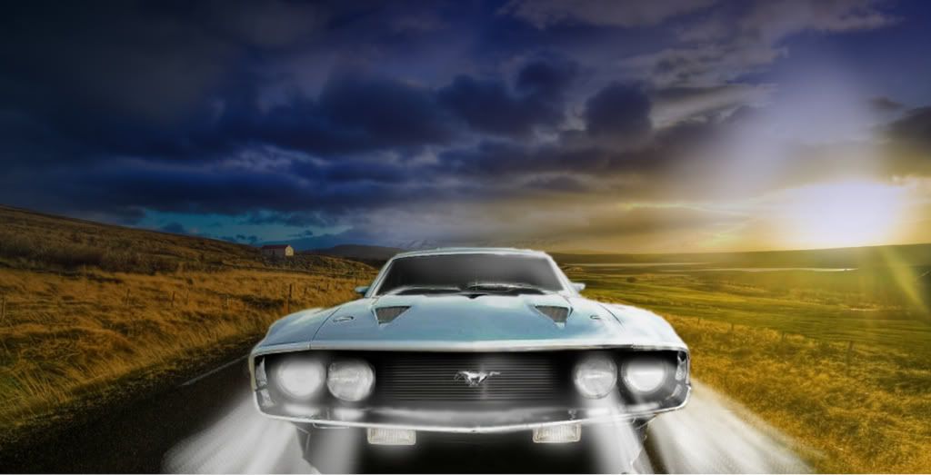 Wallpapermustang1.jpg
