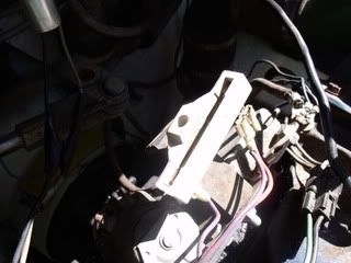 Summer2010068.jpg
