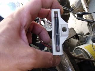 Summer2010069.jpg