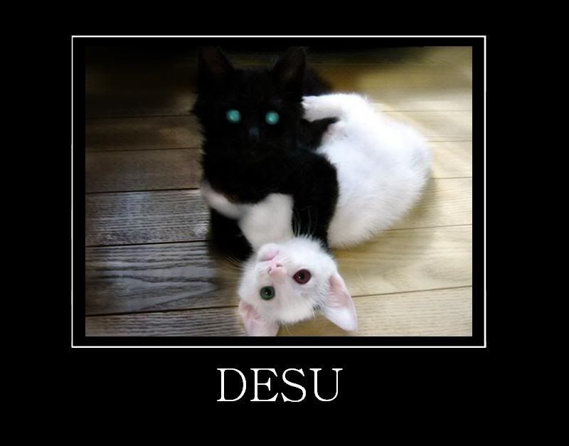 Posted Image
