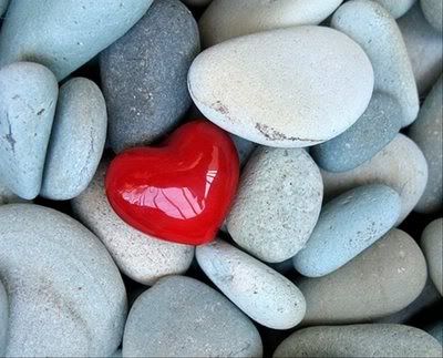 heart Pictures, Images and Photos