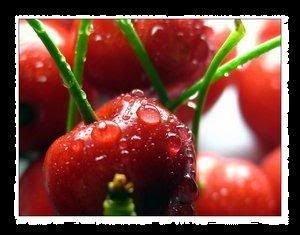 23241.jpg 23241.jpg