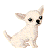 00142437.gif CHIHUAHUA image by trinemerethe