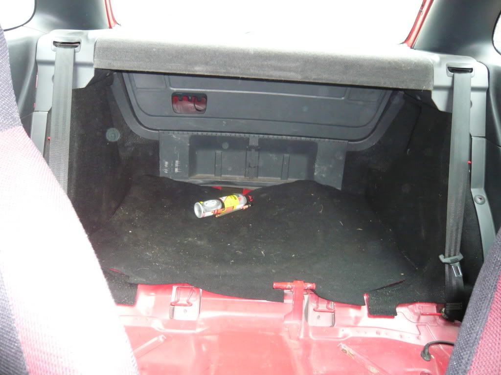 P1000404-Copy.jpg