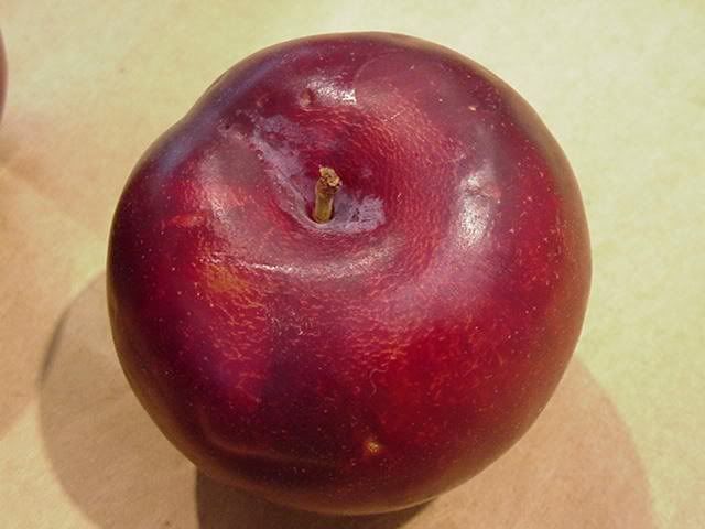 plum.jpg