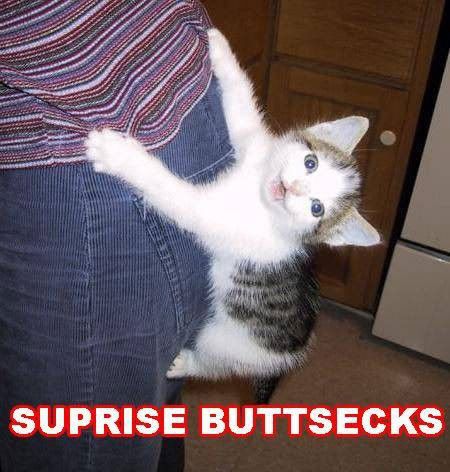 surprise_buttsex.jpg