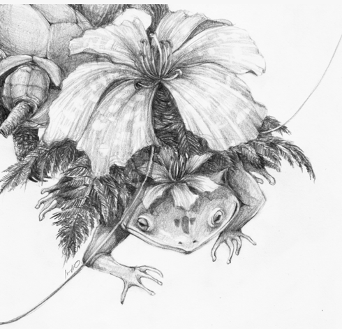 http://i171.photobucket.com/albums/u298/Anglelo/Exteen/FOR-EXTEEN_04_zpsfaf0b6ec.png