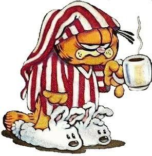 GarfieldCoffeeCupSlippers.jpg