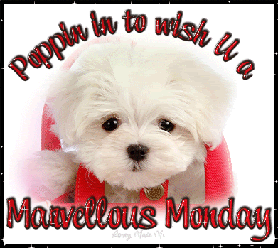 HAPPY MONDAY Pictures, Images and Photos