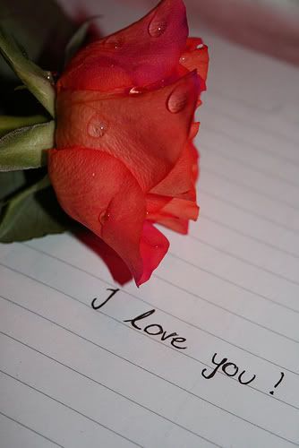i love u poems for girls. I love the way you kiss me,