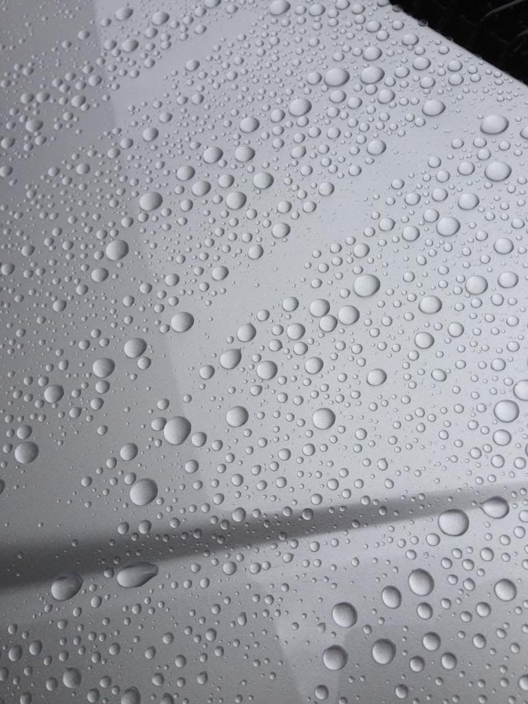 WGDGPSWaterBead3wk.jpg