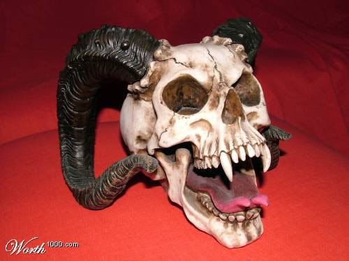 skull1.jpg