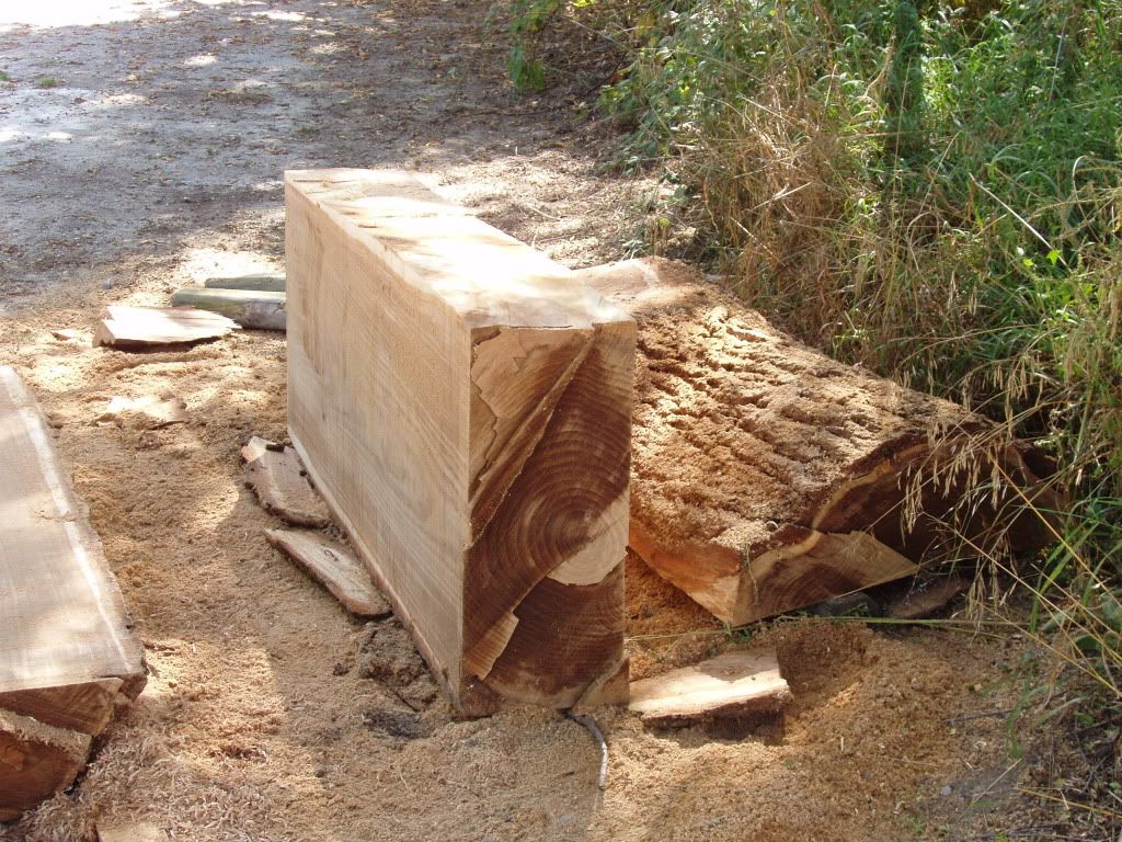 Milling a hunk of chinese elm | Arboristsite.com