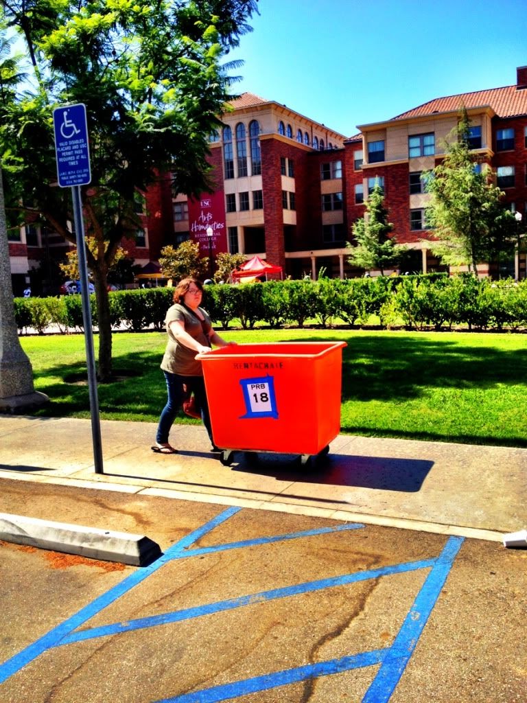 2012-08-22104909.jpg
