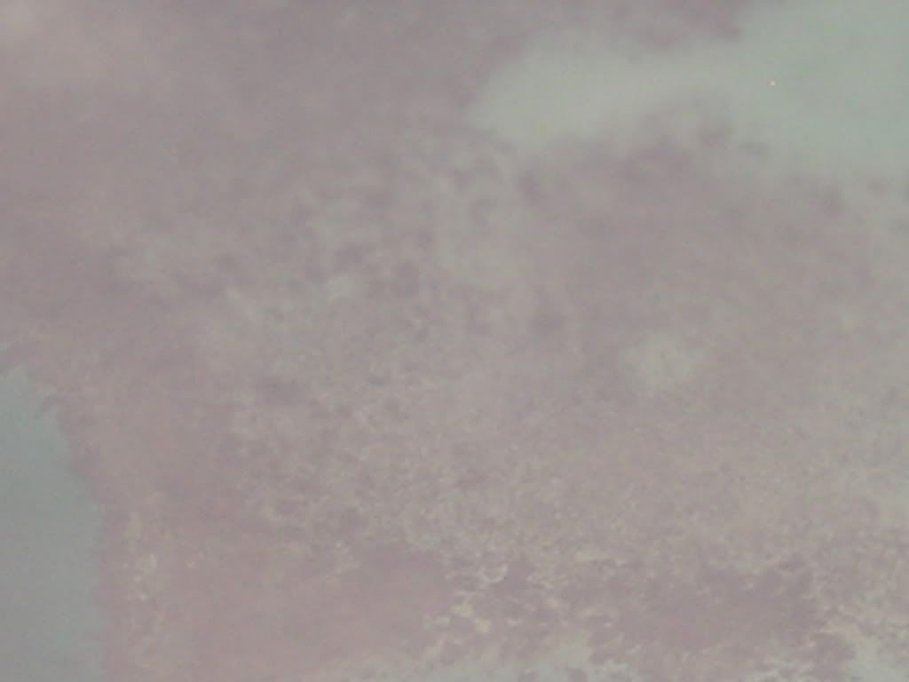 http://i171.photobucket.com/albums/u303/HURGHADATRIP/27REDSEA6.jpg
